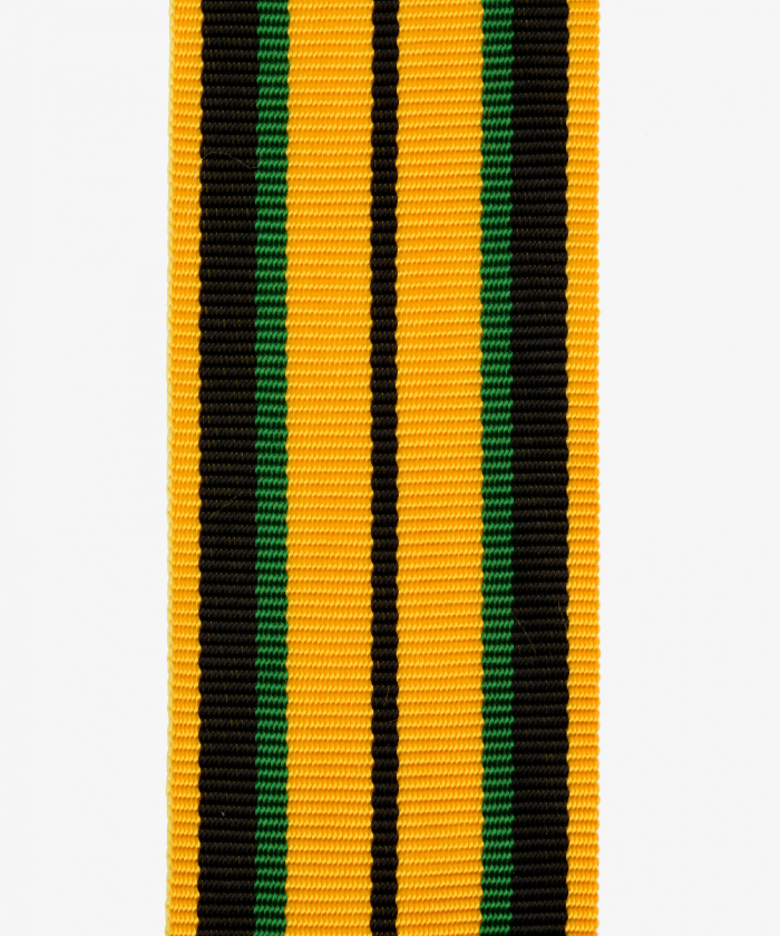 Memory cross for Germany's honor in the east (Eastern Front cross) (24)